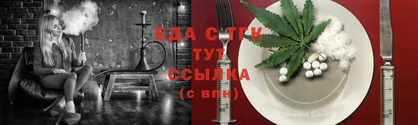 шишки Тында