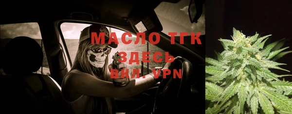 шишки Тында