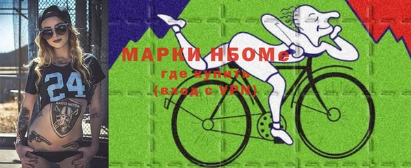 МДПВ Туринск