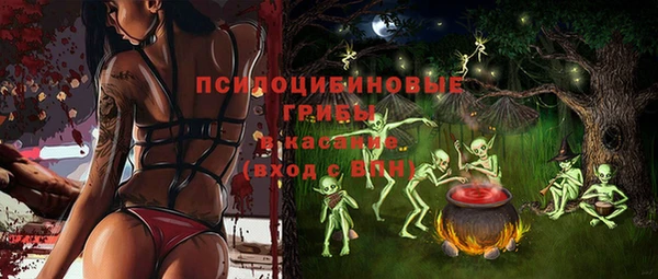 ПСИЛОЦИБИНОВЫЕ ГРИБЫ Усинск