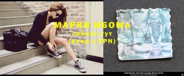 шишки Тында