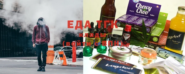 шишки Тында