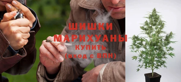 МДПВ Туринск